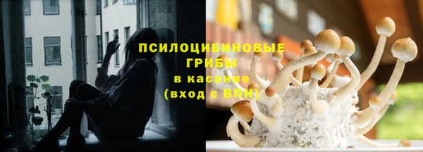 ПСИЛОЦИБИНОВЫЕ ГРИБЫ Абдулино