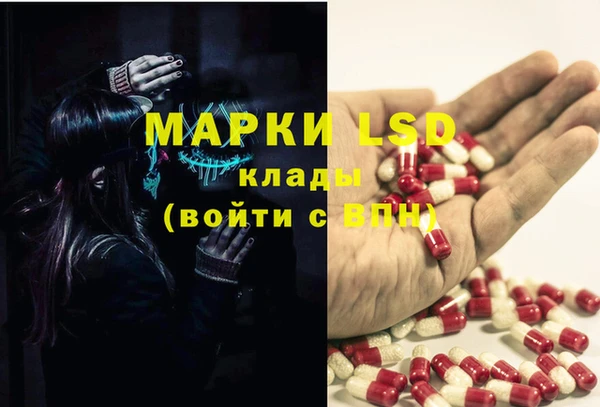 ПСИЛОЦИБИНОВЫЕ ГРИБЫ Абдулино